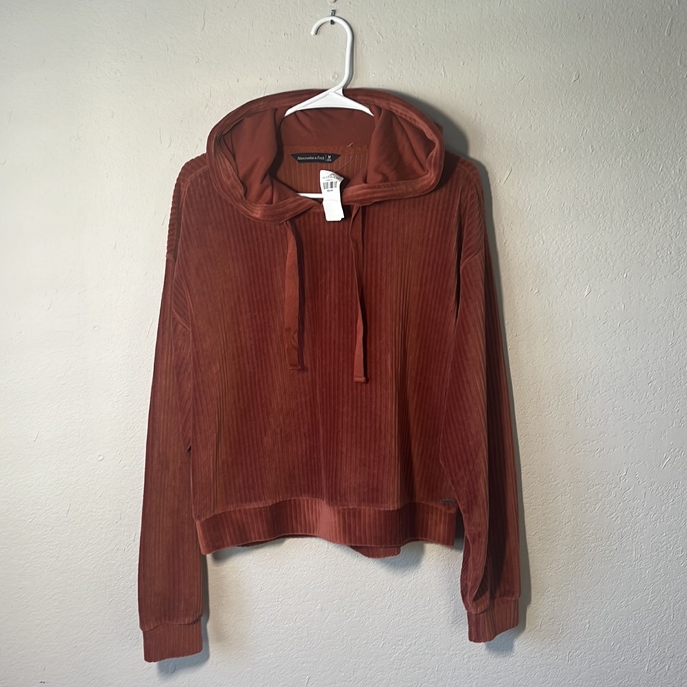 Abercrombie & Fitch Velvet Hoodie Size M